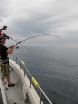 Aquanaut（アクアノート） 釣果