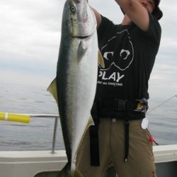 Aquanaut（アクアノート） 釣果