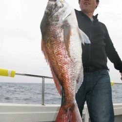 Aquanaut（アクアノート） 釣果