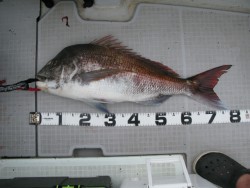 Aquanaut（アクアノート） 釣果