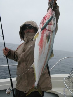 Aquanaut（アクアノート） 釣果