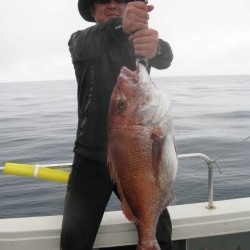 Aquanaut（アクアノート） 釣果