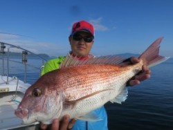 アジアマリンサービス 釣果