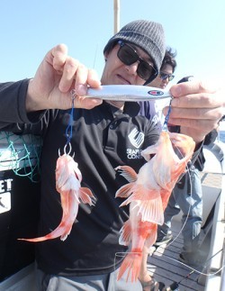 IZANAGI　イザナギ 釣果