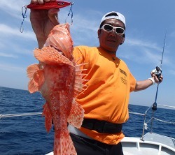 IZANAGI　イザナギ 釣果