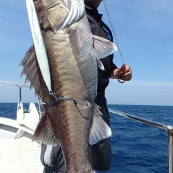 IZANAGI　イザナギ 釣果