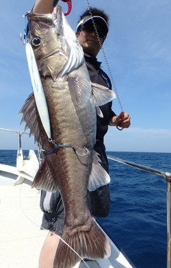 IZANAGI　イザナギ 釣果