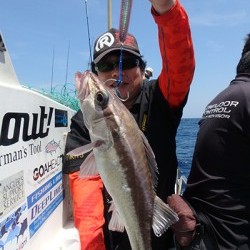 IZANAGI　イザナギ 釣果