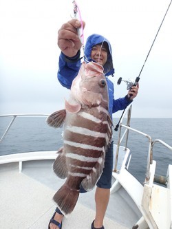 IZANAGI　イザナギ 釣果