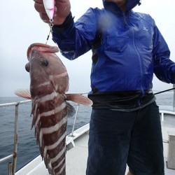 IZANAGI　イザナギ 釣果