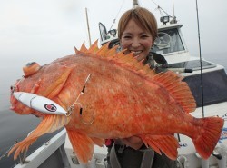 IZANAGI　イザナギ 釣果