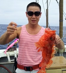 MATSUSHIMA SEANET 釣果