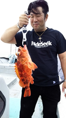 MATSUSHIMA SEANET 釣果