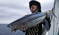 MATSUSHIMA SEANET 釣果