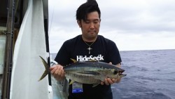 MATSUSHIMA SEANET 釣果