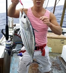 MATSUSHIMA SEANET 釣果