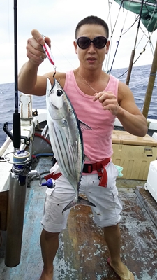 MATSUSHIMA SEANET 釣果