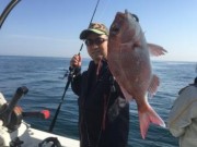 シーマジカル 釣果