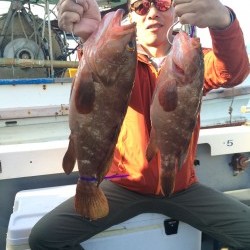 さんさん丸 釣果