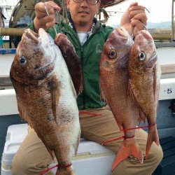 さんさん丸 釣果