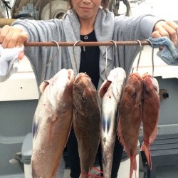 さんさん丸 釣果