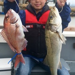 さんさん丸 釣果