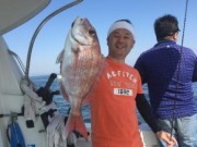 シーマジカル 釣果