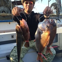 さんさん丸 釣果