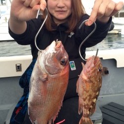 さんさん丸 釣果