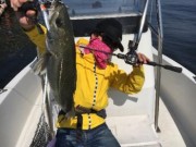 シーマジカル 釣果