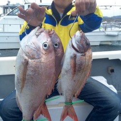 さんさん丸 釣果