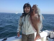 シーマジカル 釣果