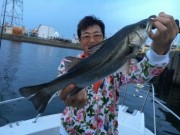 シーマジカル 釣果