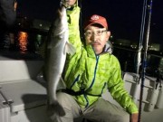 シーマジカル 釣果