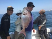 シーマジカル 釣果