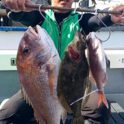 さんさん丸 釣果