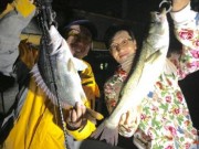 シーマジカル 釣果