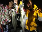 シーマジカル 釣果