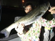 シーマジカル 釣果