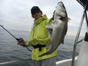 シーマジカル 釣果