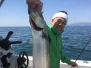 シーマジカル 釣果