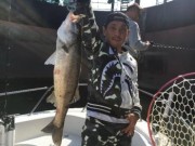 シーマジカル 釣果