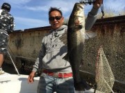 シーマジカル 釣果