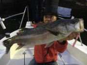 シーマジカル 釣果