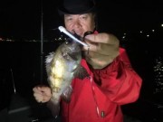 シーマジカル 釣果