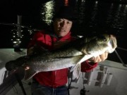 シーマジカル 釣果