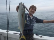 シーマジカル 釣果