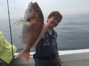 シーマジカル 釣果