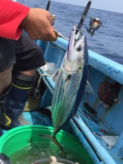 征海丸 釣果
