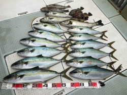 ふじしめ丸 釣果